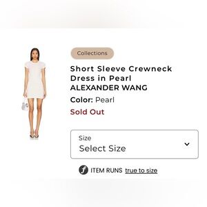 Alexander Wang Pearl Mini Dress